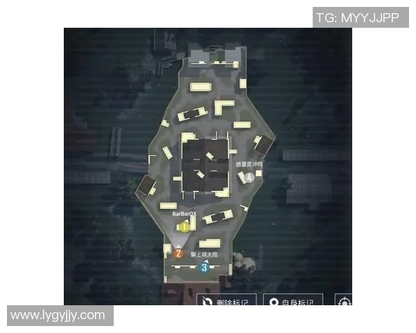 电竞新闻S15LOL比赛与和平精英焦点LNG团队协作策略深入分析与探讨